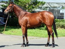 ����å��ǳ��������ɽ�����ޤ�