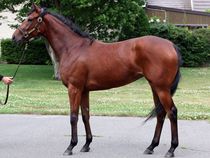 ����å��ǳ��������ɽ�����ޤ�