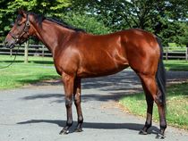 ����å��ǳ��������ɽ�����ޤ�