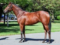 ����å��ǳ��������ɽ�����ޤ�