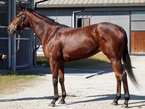 ����å��ǳ��������ɽ�����ޤ�