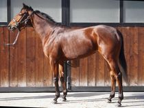 ����å��ǳ��������ɽ�����ޤ�