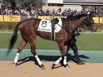 ����å��ǳ��������ɽ�����ޤ�