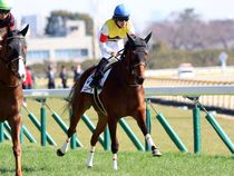 ����å��ǳ��������ɽ�����ޤ�