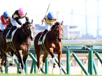 ����å��ǳ��������ɽ�����ޤ�