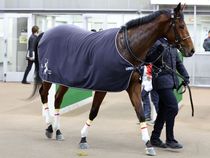 ����å��ǳ��������ɽ�����ޤ�