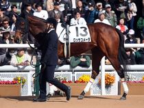 ����å��ǳ��������ɽ�����ޤ�