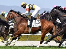 ����å��ǳ��������ɽ�����ޤ�