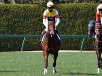 ����å��ǳ��������ɽ�����ޤ�