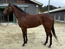 ����å��ǳ��������ɽ�����ޤ�