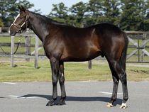 ����å��ǳ��������ɽ�����ޤ�