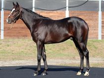 ����å��ǳ��������ɽ�����ޤ�