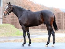 ����å��ǳ��������ɽ�����ޤ�