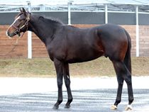 ����å��ǳ��������ɽ�����ޤ�