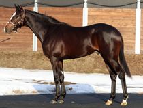 ����å��ǳ��������ɽ�����ޤ�