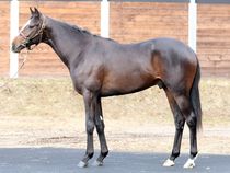 ����å��ǳ��������ɽ�����ޤ�