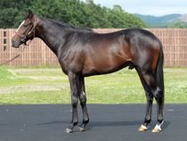 ����å��ǳ��������ɽ�����ޤ�