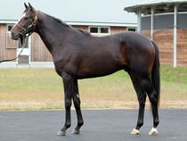 ����å��ǳ��������ɽ�����ޤ�