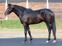 ����å��ǳ��������ɽ�����ޤ�