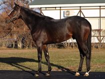 ����å��ǳ��������ɽ�����ޤ�