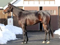 ����å��ǳ��������ɽ�����ޤ�