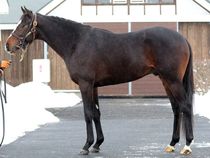 ����å��ǳ��������ɽ�����ޤ�