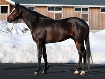 ����å��ǳ��������ɽ�����ޤ�