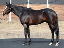 ����å��ǳ��������ɽ�����ޤ�