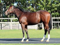 ����å��ǳ��������ɽ�����ޤ�