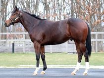 ����å��ǳ��������ɽ�����ޤ�