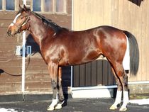 ����å��ǳ��������ɽ�����ޤ�