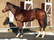 ����å��ǳ��������ɽ�����ޤ�