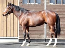 ����å��ǳ��������ɽ�����ޤ�