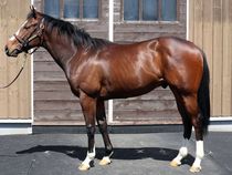 ����å��ǳ��������ɽ�����ޤ�