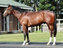 ����å��ǳ��������ɽ�����ޤ�