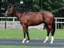 ����å��ǳ��������ɽ�����ޤ�