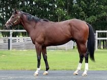 ����å��ǳ��������ɽ�����ޤ�