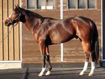 ����å��ǳ��������ɽ�����ޤ�