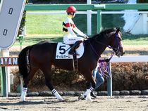 ����å��ǳ��������ɽ�����ޤ�