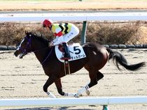 ����å��ǳ��������ɽ�����ޤ�