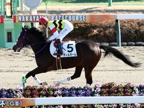 ����å��ǳ��������ɽ�����ޤ�