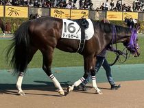 ����å��ǳ��������ɽ�����ޤ�