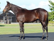 ����å��ǳ��������ɽ�����ޤ�