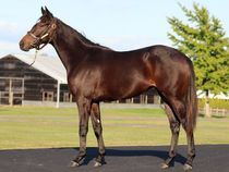 ����å��ǳ��������ɽ�����ޤ�