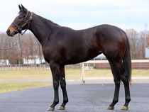 ����å��ǳ��������ɽ�����ޤ�