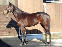 ����å��ǳ��������ɽ�����ޤ�