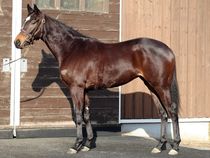 ����å��ǳ��������ɽ�����ޤ�