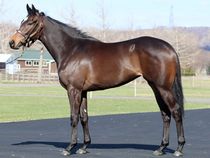 ����å��ǳ��������ɽ�����ޤ�