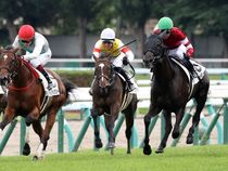 ����å��ǳ��������ɽ�����ޤ�