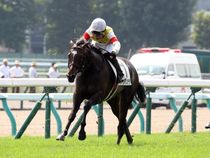 ����å��ǳ��������ɽ�����ޤ�